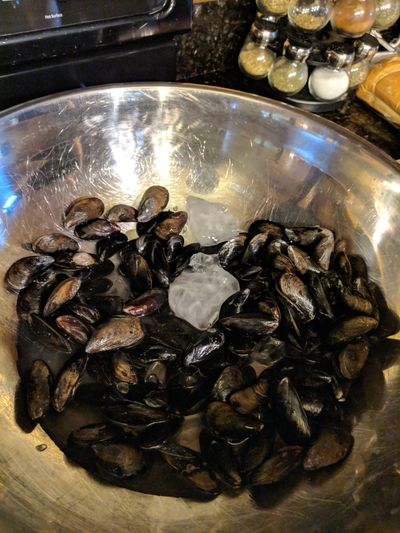 Mussels chilling in a bowl