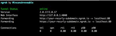 A screenshot of a terminal window showing the output of ngrok after successfully starting up.