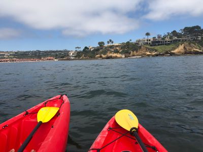 View of the coastline from our kayaks