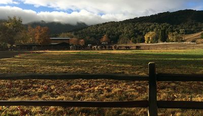 Ranch